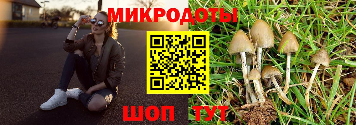 Дзержинский  Галлюциногенные грибы ЛСД  Вход с VPN 
